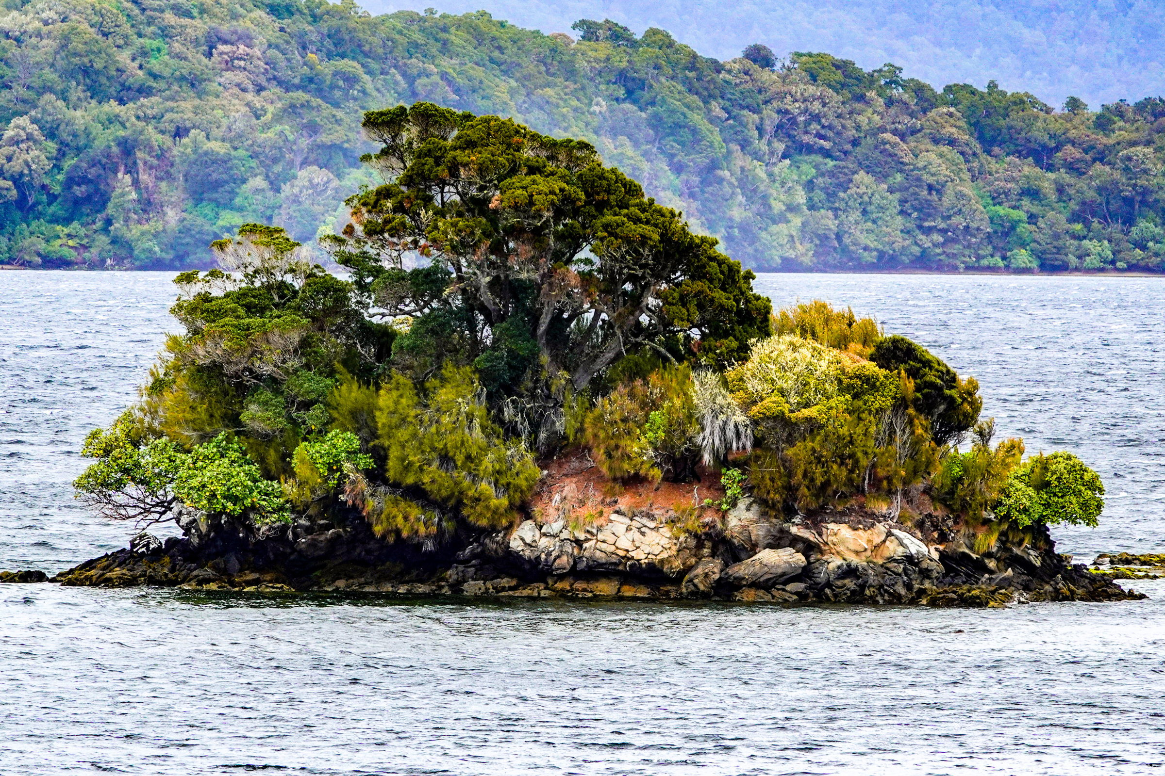 paterson inlet, stewart island.webp